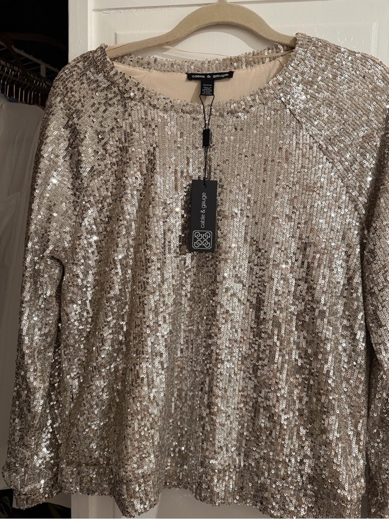Cable & Gauge Tops - Cable & Gauge Champagne Silver Color Sequin Long-Sleeve Dress